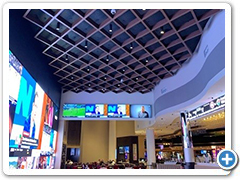 Hyatt Hotel - New Orleans, LA